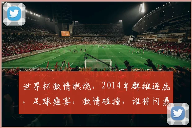 世界杯激情燃烧，2014年群雄逐鹿，足球盛宴，激情碰撞，谁将问鼎巅峰